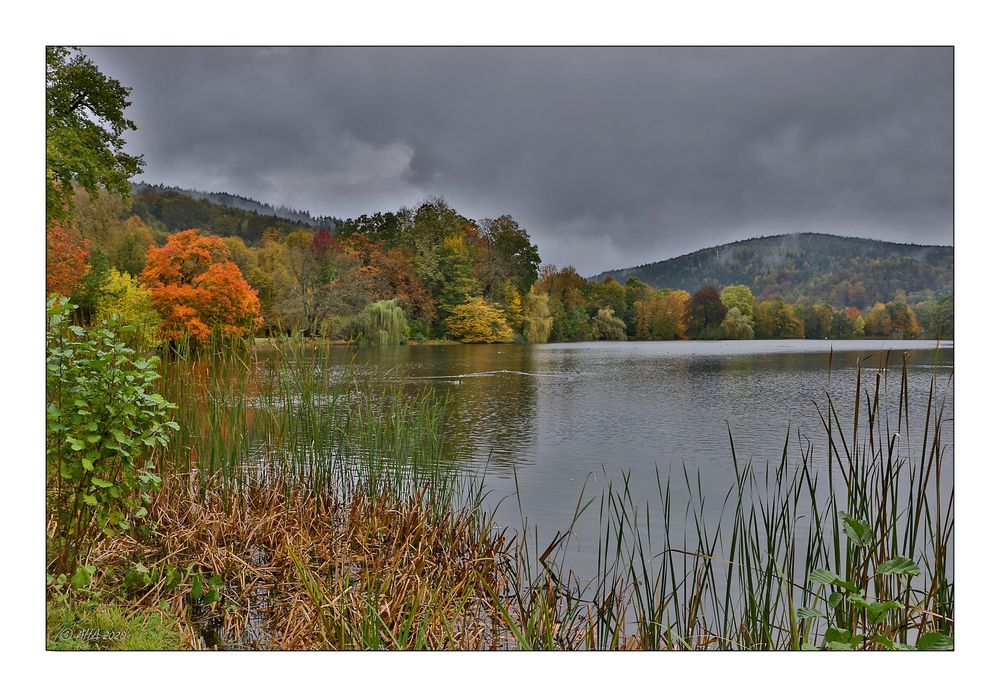 Herbst im Greizer Park - 4