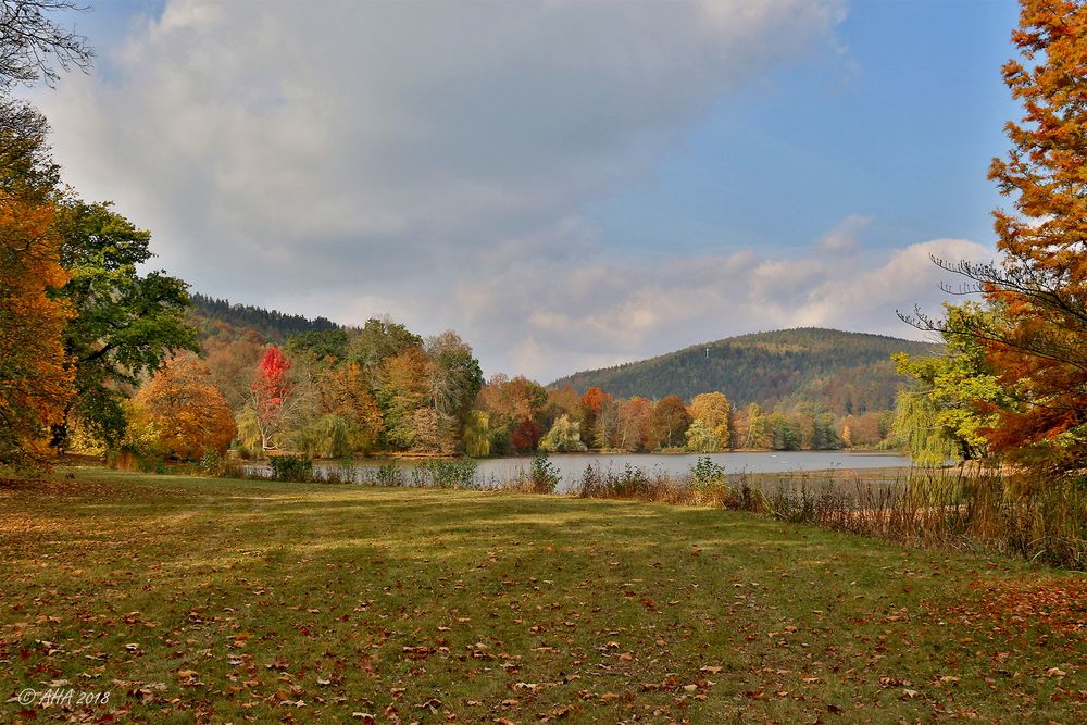 Herbst im Greizer Park