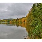 Herbst im Greizer Park - 6