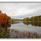 Herbst im Greizer Park - 8