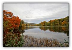 Herbst im Greizer Park - 8