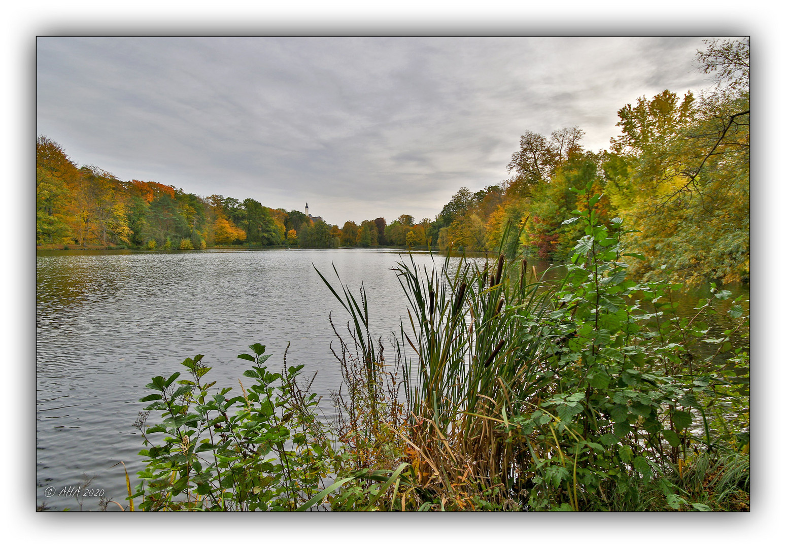 Herbst im Greizer Park - 9