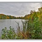 Herbst im Greizer Park - 9