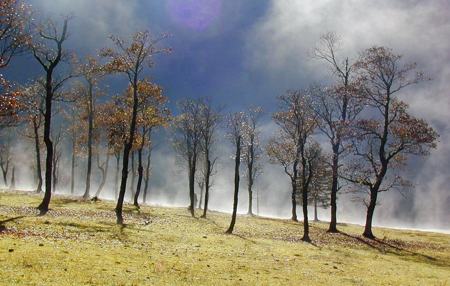 Herbst im Grossen Ahornboden