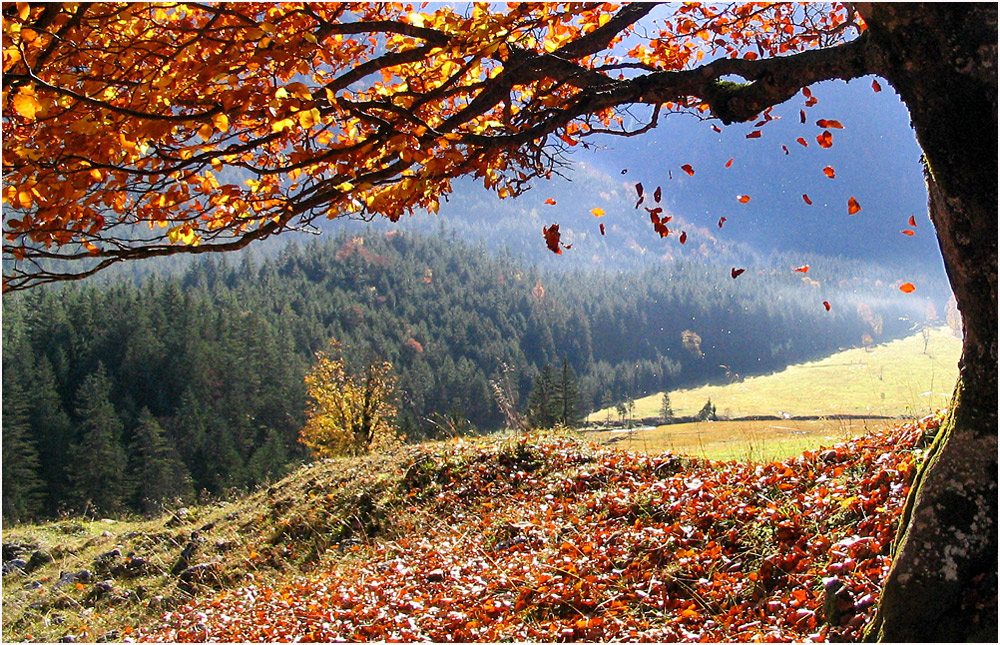 herbst im grossen ahornboden