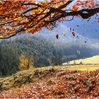 herbst im grossen ahornboden