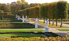  Herbst im Großen Garten