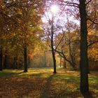 Herbst im Großen Garten Dresden