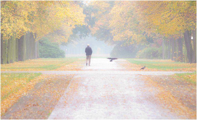 Herbst im Großen Garten II