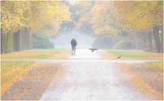 Herbst im Großen Garten II