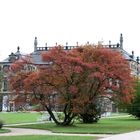 Herbst im Großen Garten in DD