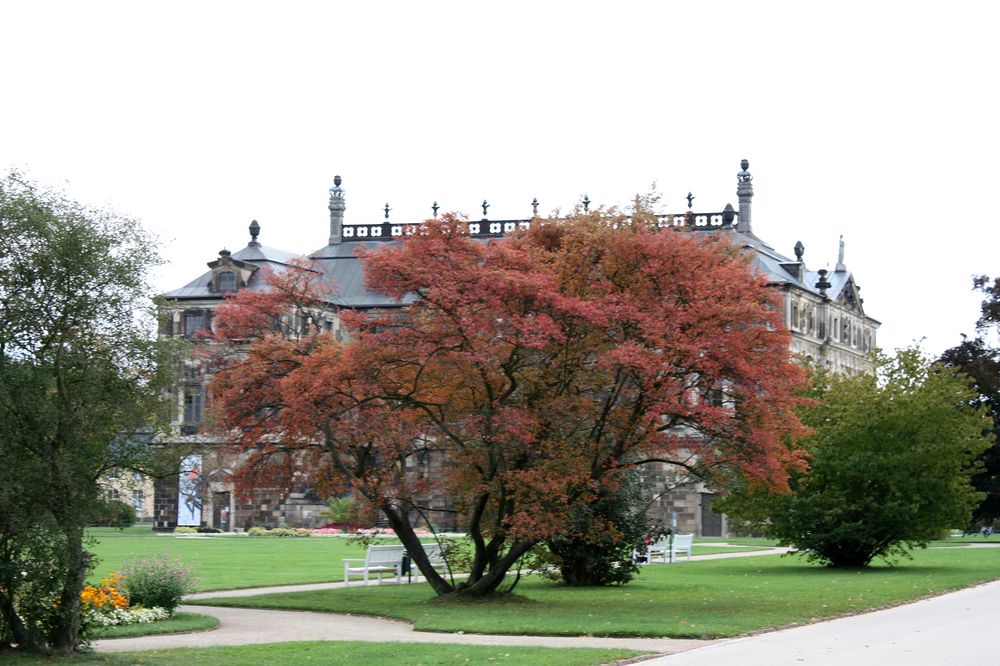 Herbst im Großen Garten in DD