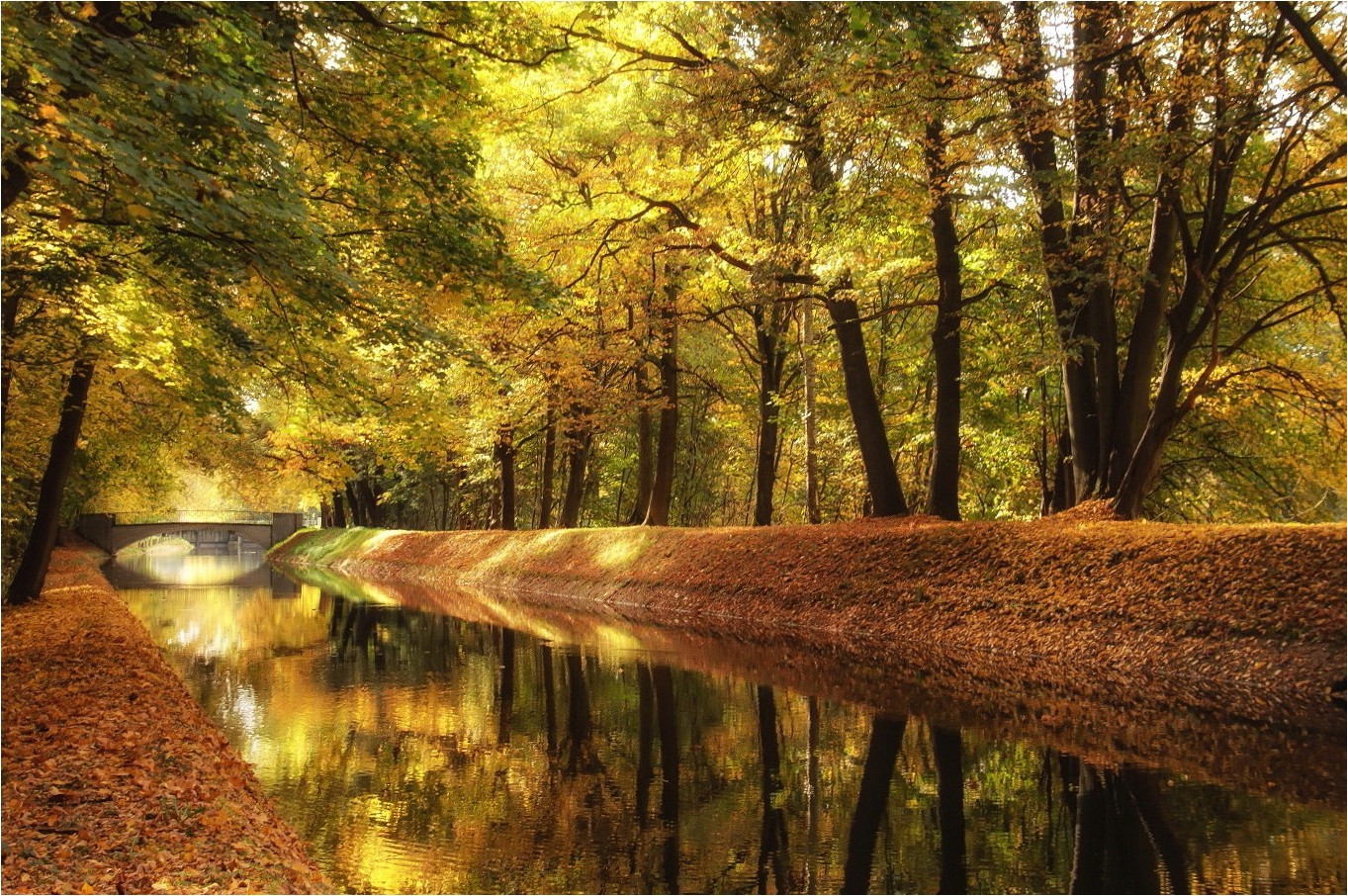 Herbst im Grünefelder Park 1