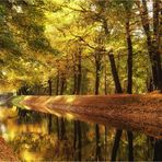 Herbst im Grünefelder Park 1