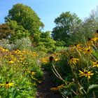 Herbst im Grugapark