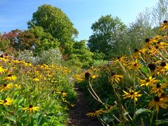 Herbst im Grugapark