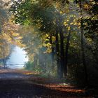 Herbst im Grunewald