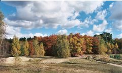 Herbst im Grunewald