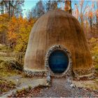 Herbst im Habichtswald bei Kassel 