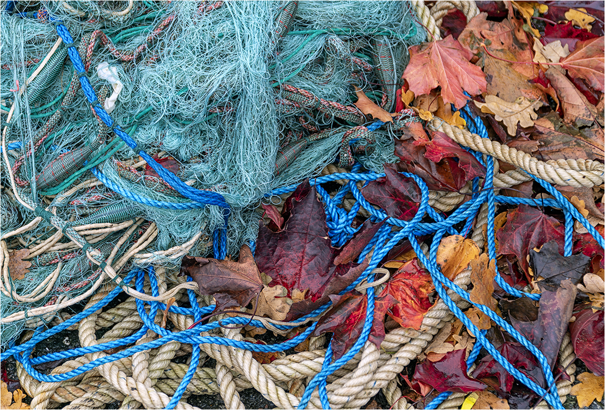 Herbst im Hafen