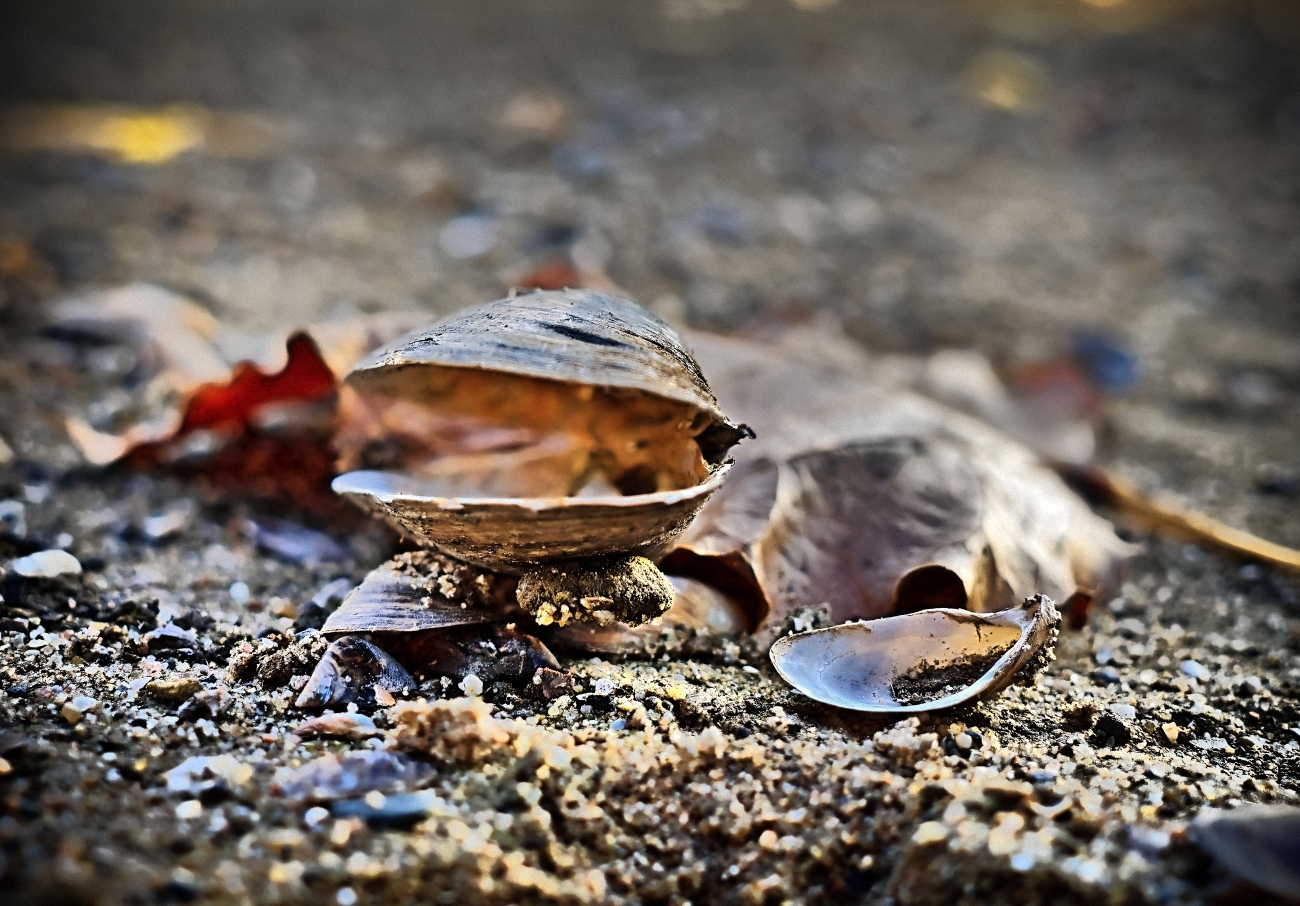 Herbst im Hafen