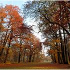 herbst im hainpark/bamberg