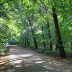 Herbst im Hamburger Volkspark