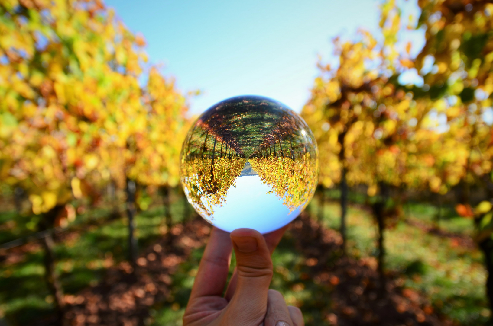 Herbst im Hand halten