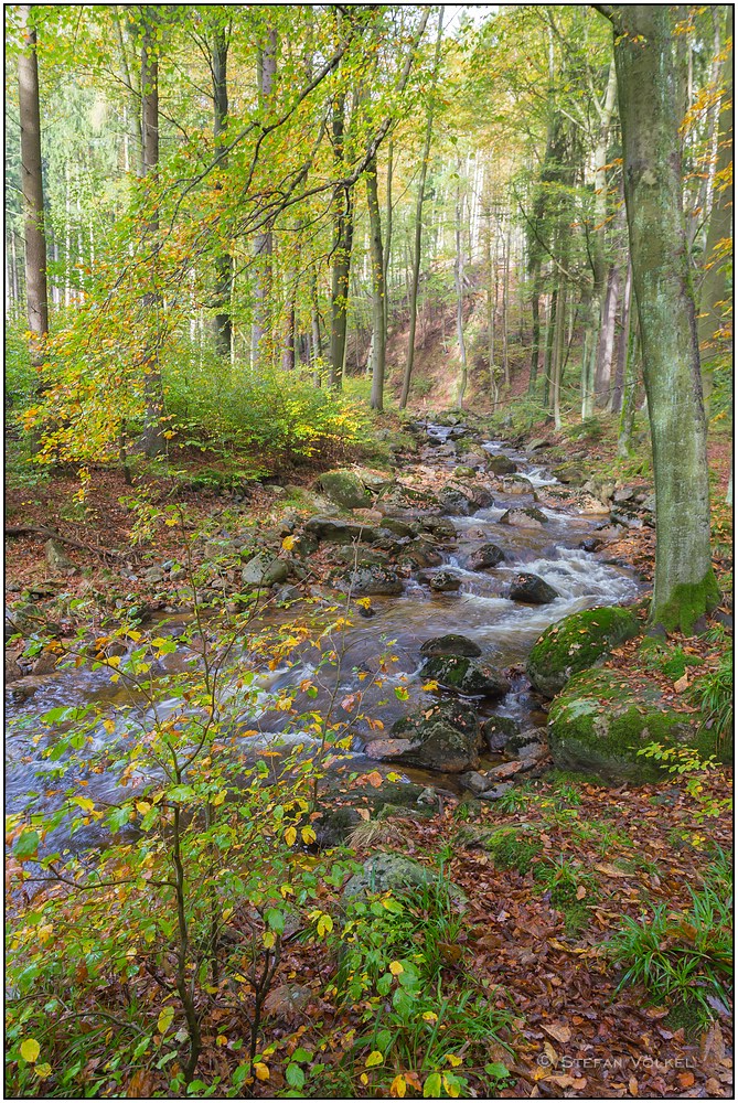 Herbst im Harz