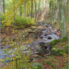 Herbst im Harz