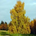 Herbst im Harz