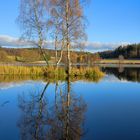 Herbst im Harz