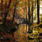 Herbst im Harz