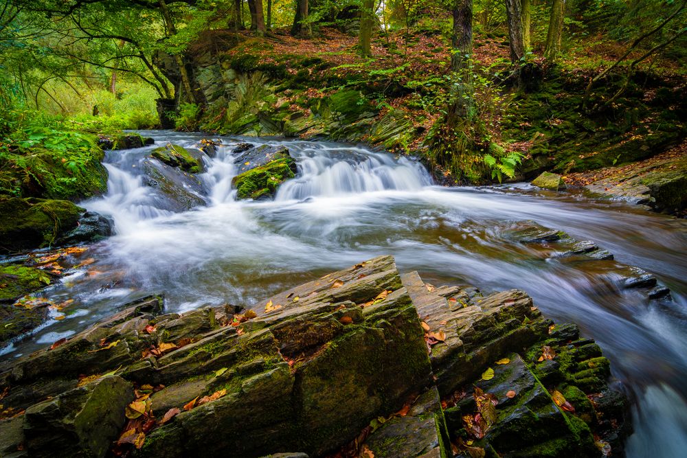 Herbst im Harz