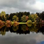 * Herbst im Harz