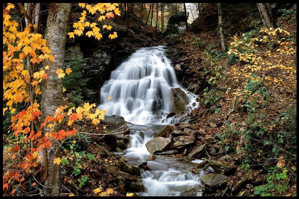 Herbst im Harz