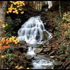 Herbst im Harz