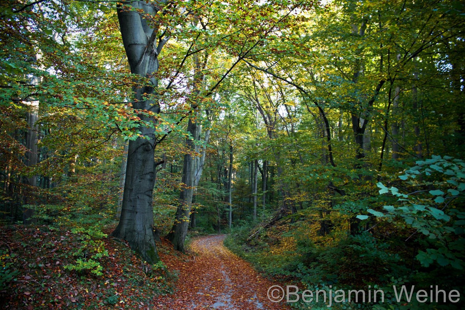 Herbst im Harz