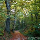 Herbst im Harz