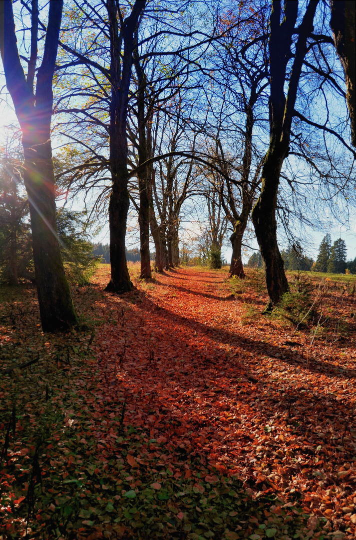 Herbst im Harz