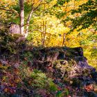 Herbst im Harz