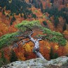 Herbst im Harz