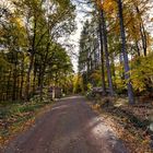 Herbst im Harz