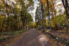 Herbst im Harz