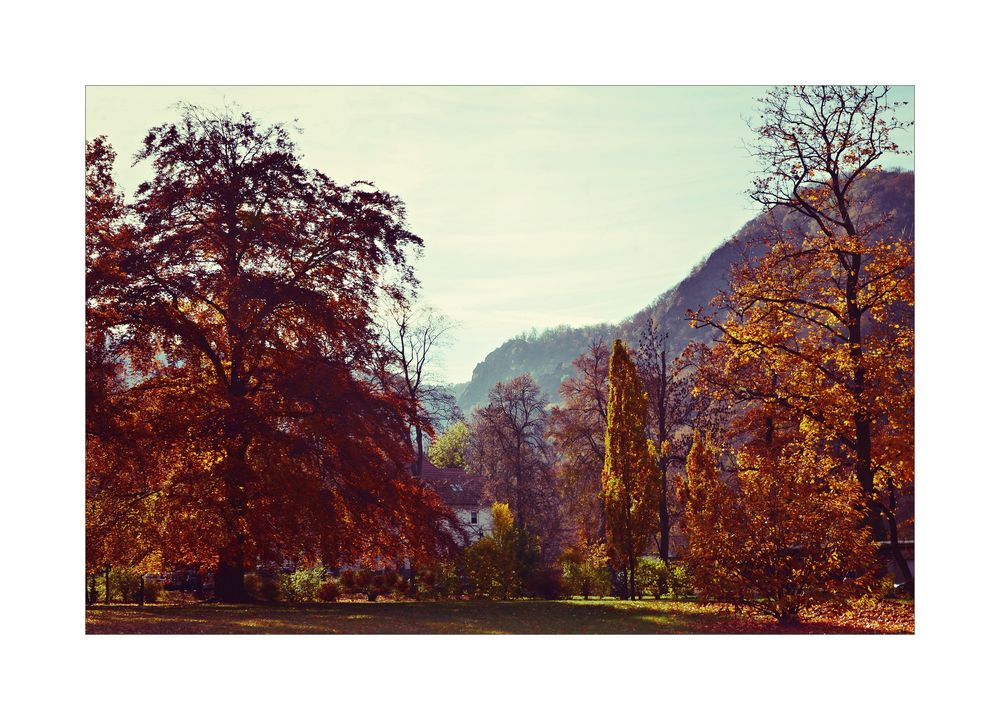 Herbst im Harz