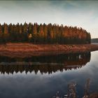 * Herbst im Harz **