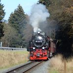 Herbst im Harz