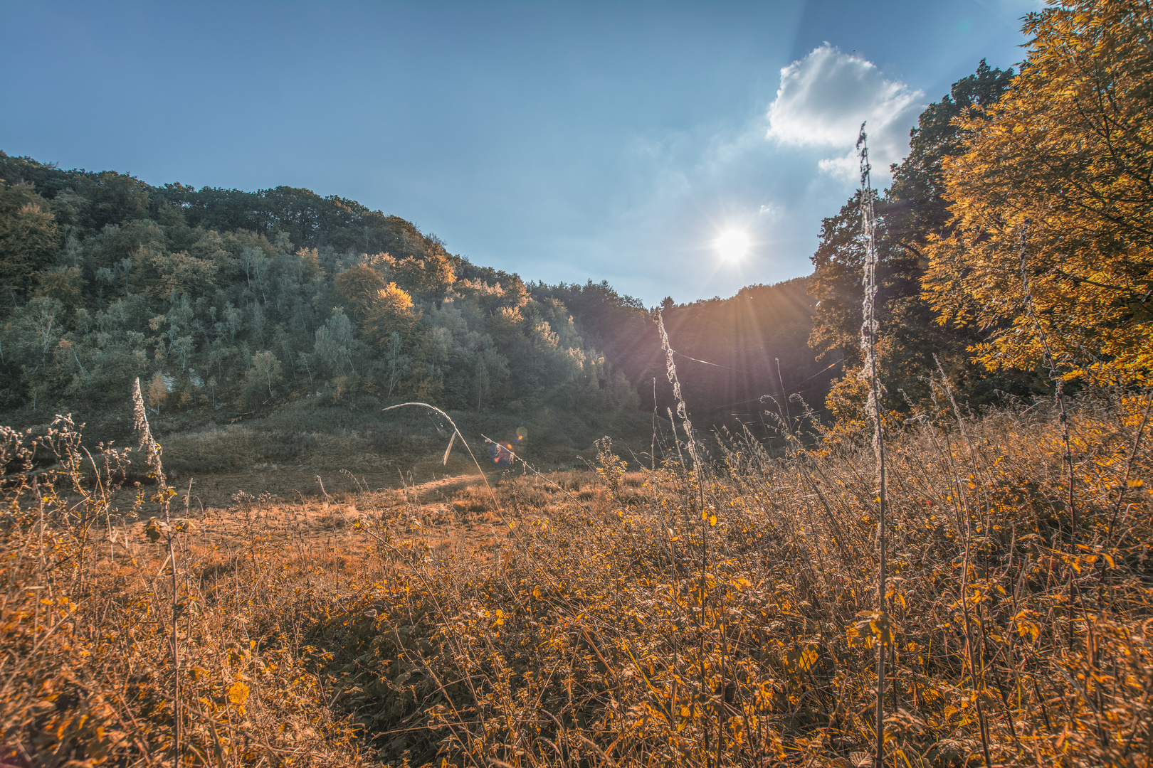 Herbst im Harz