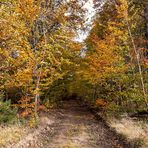 Herbst im Harz