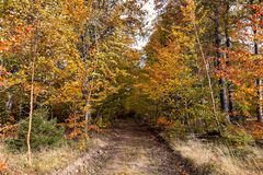 Herbst im Harz